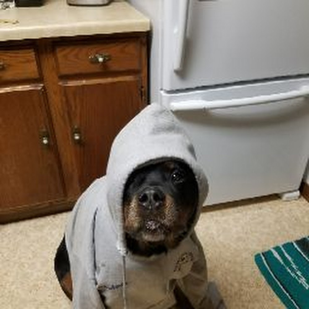 Meet your Posher, Terry